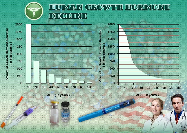 hgh chart human hormones.webp