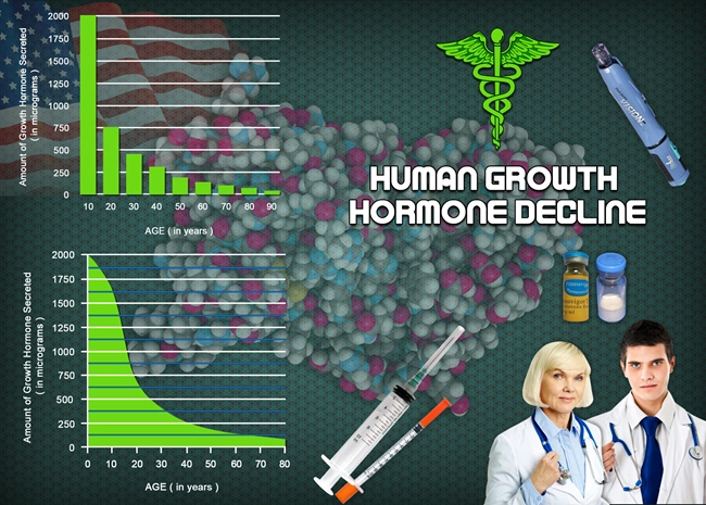 muscle growth supplements hgh chart.webp