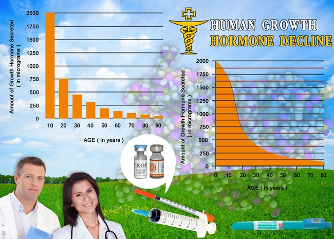 muscle hgh chart gain supplements.webp muscle hgh chart gain supplements.webp