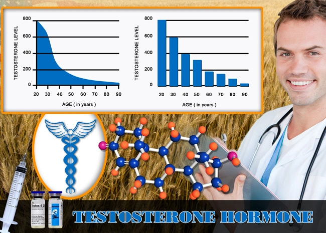 estrogen estrogen