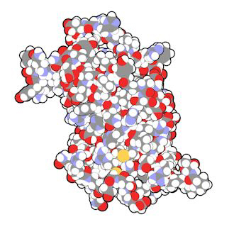 Hypogonadism wiki