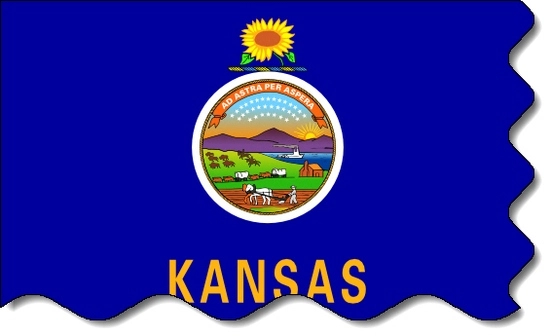 Kansas state flag, medical clinics