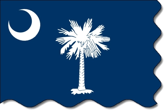 South Carolina state flag, medical clinics