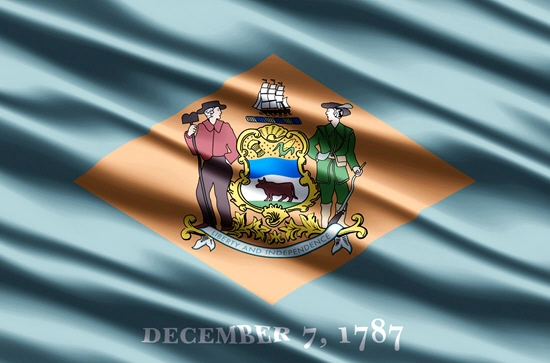 Delaware state flag, medical clinics