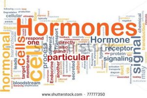 stock-photo-background-concept-wordcloud-illustration-of-hormones-hormonal-signal-77777350