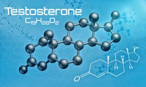 Testosterone chemical 300x179