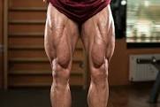 Leg Muscles