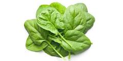 spinach