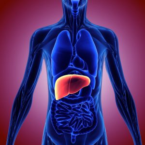 liver can cause tiredness and fatigue