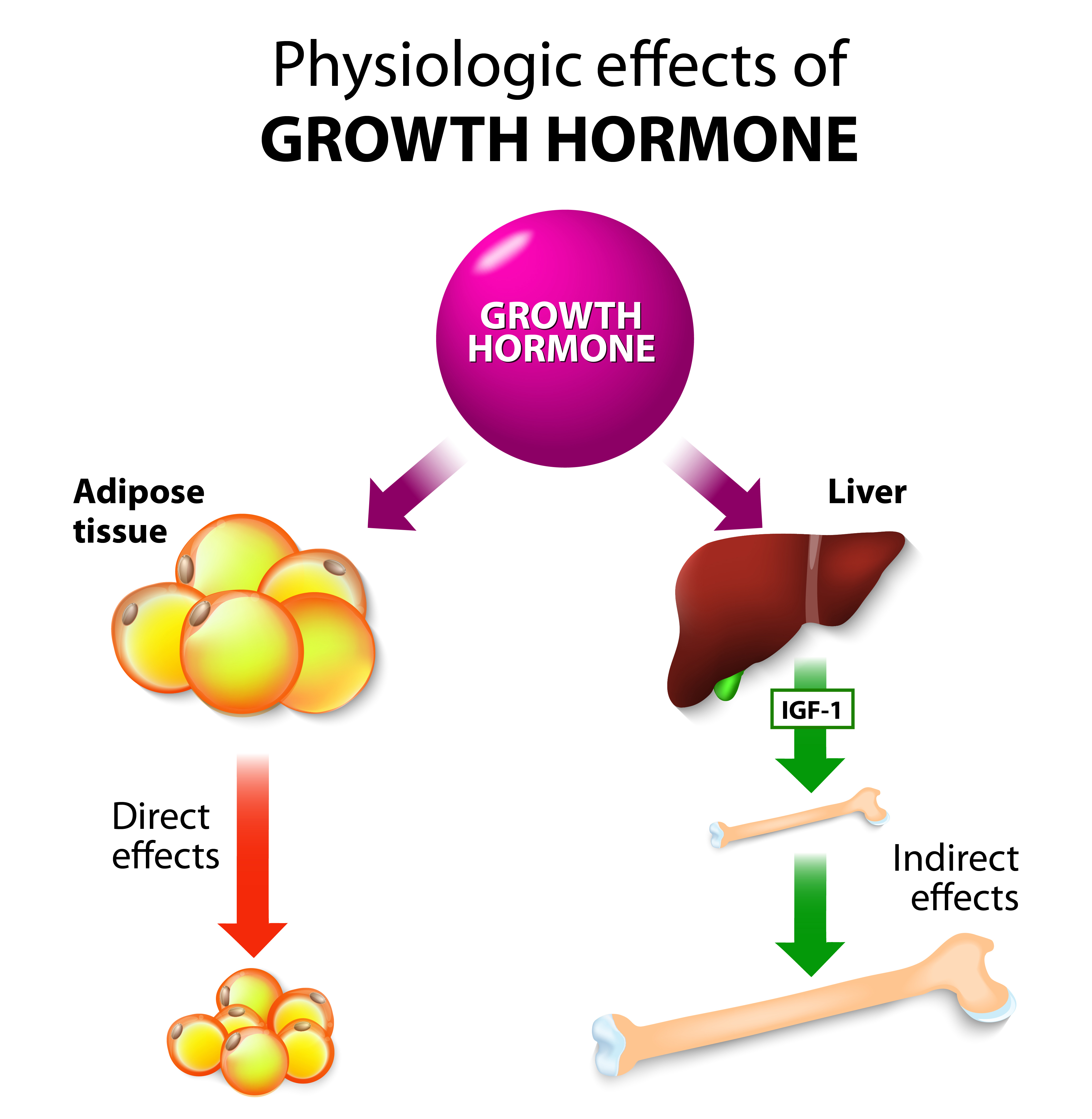 gh hormone